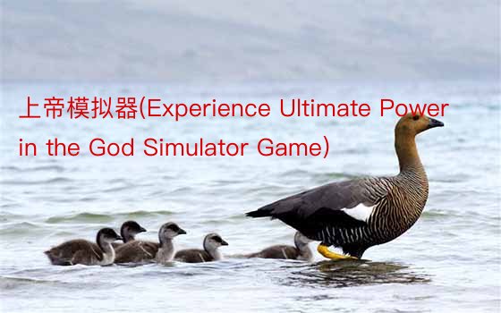 上帝模拟器(Experience Ultimate Power in the God Simulator Game)